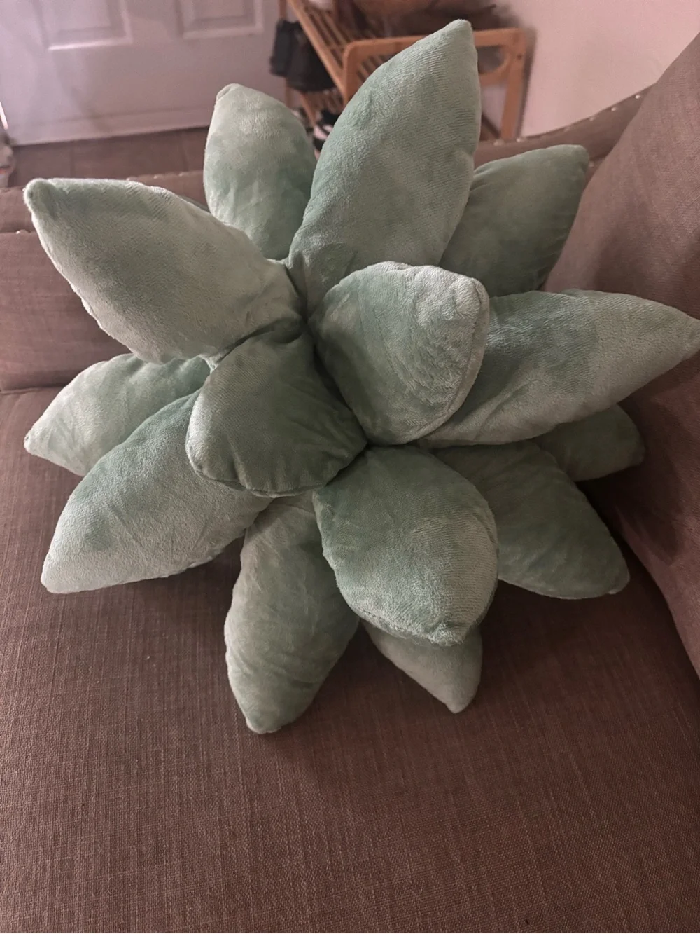 Plush succulent Pillow in Sage Green